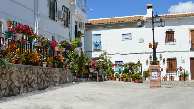 Plaza de la Torre