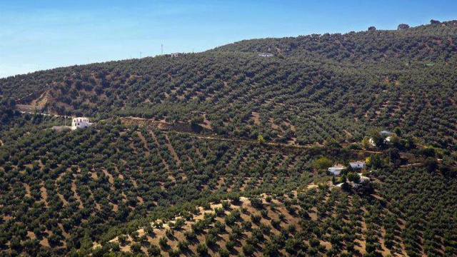 Montes Claros