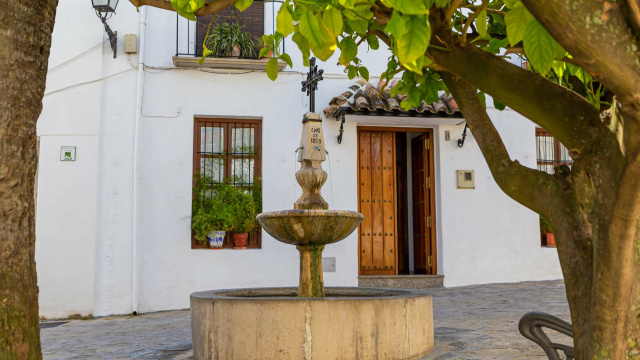 La Plaza de los Cuatro Caños