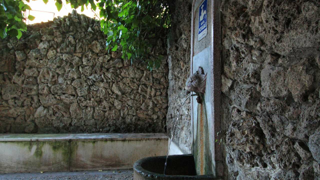 Fuente del León