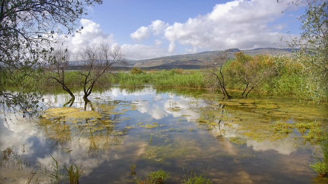 Laguna del Salobral