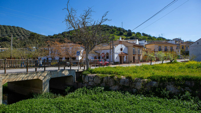 Nacimiento de Zambra