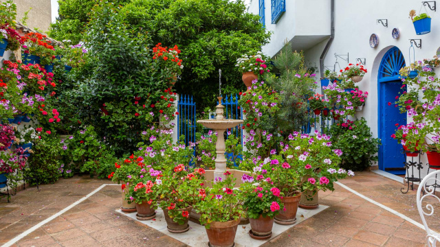 Patio Aurora Sánchez