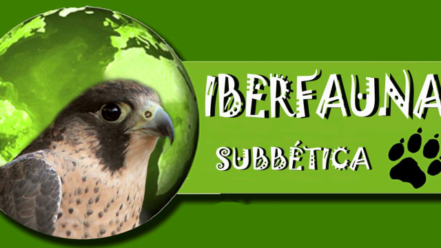 Iberfauna Subbética