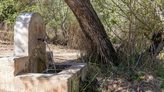 FUENTE DE LA DEHESILLA