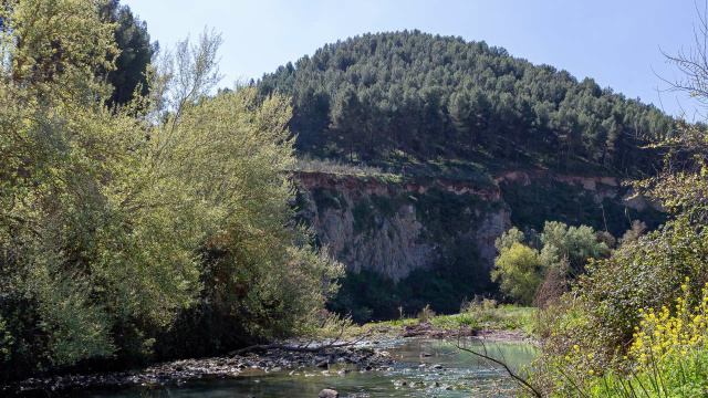 SOTOBOSQUE RIO GENIL