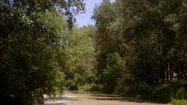 Cauce Río Genil