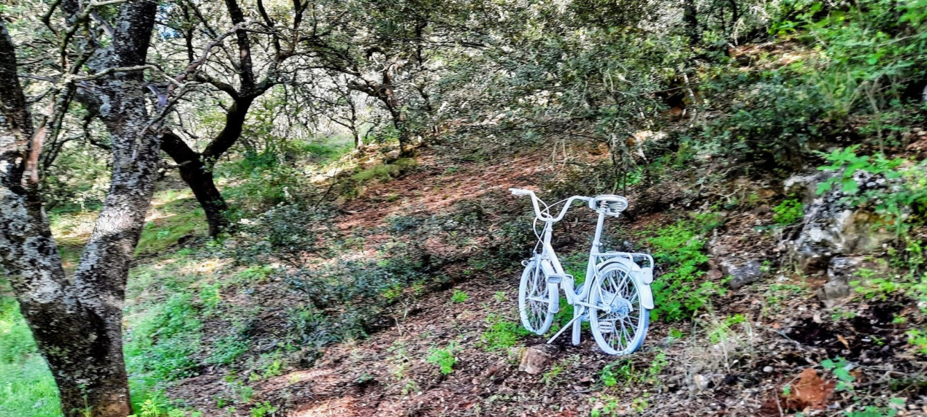 Wanderweg „Arroyo Granada“