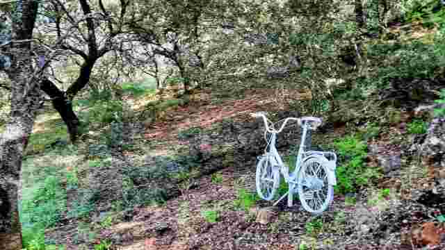 Sendero "Arroyo Granada"