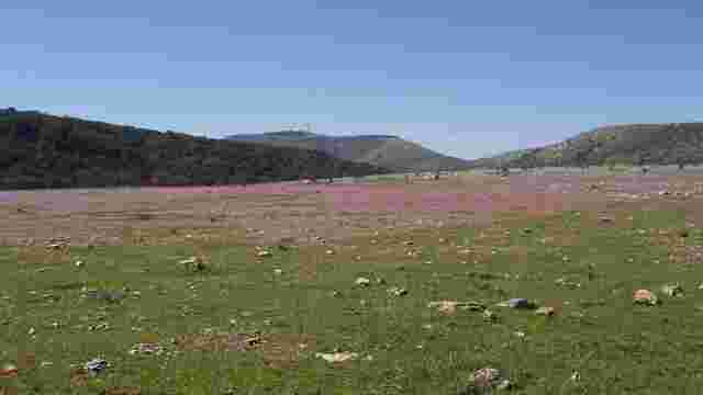 Polje de la Nava