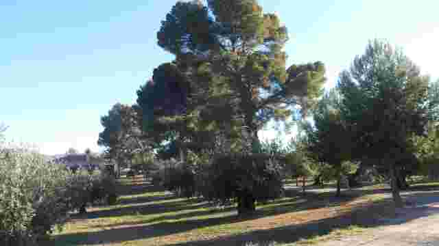 Paraje de Buenavista.