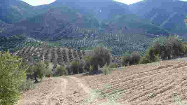 Subida a San Miguel del Castellar.