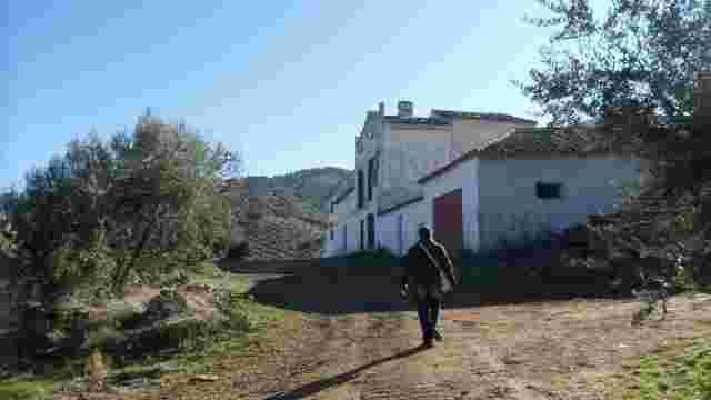 Cortijos rurales.
