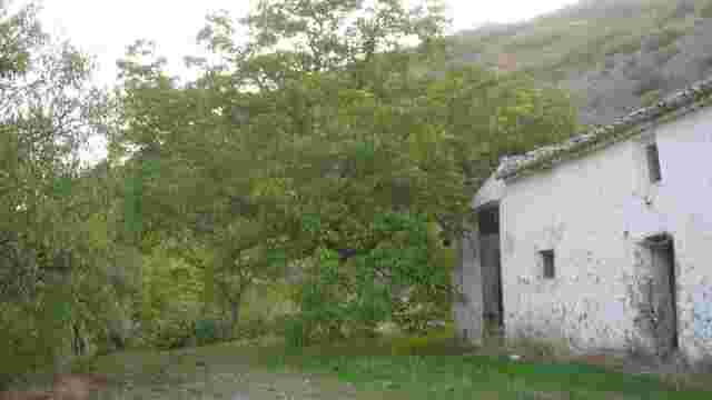 Cortijo Alborazor.