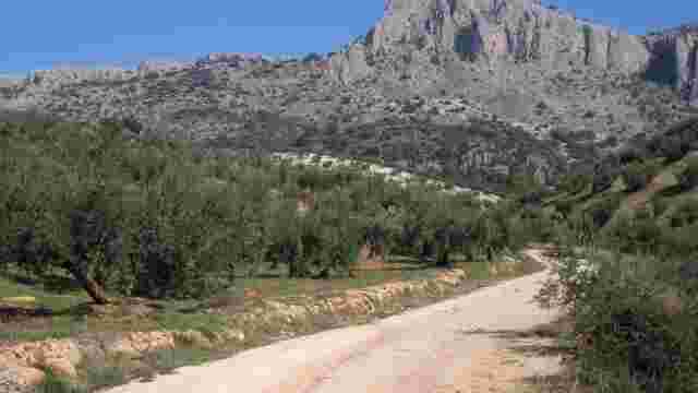 Zona de las Buitreras.