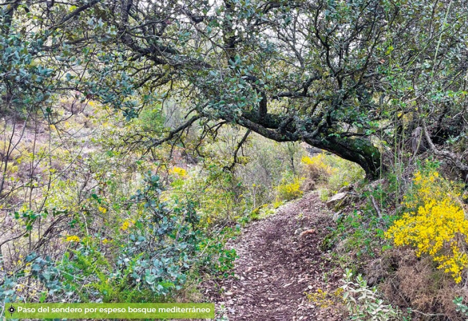 Wanderweg „Cruz de los Panaderos“