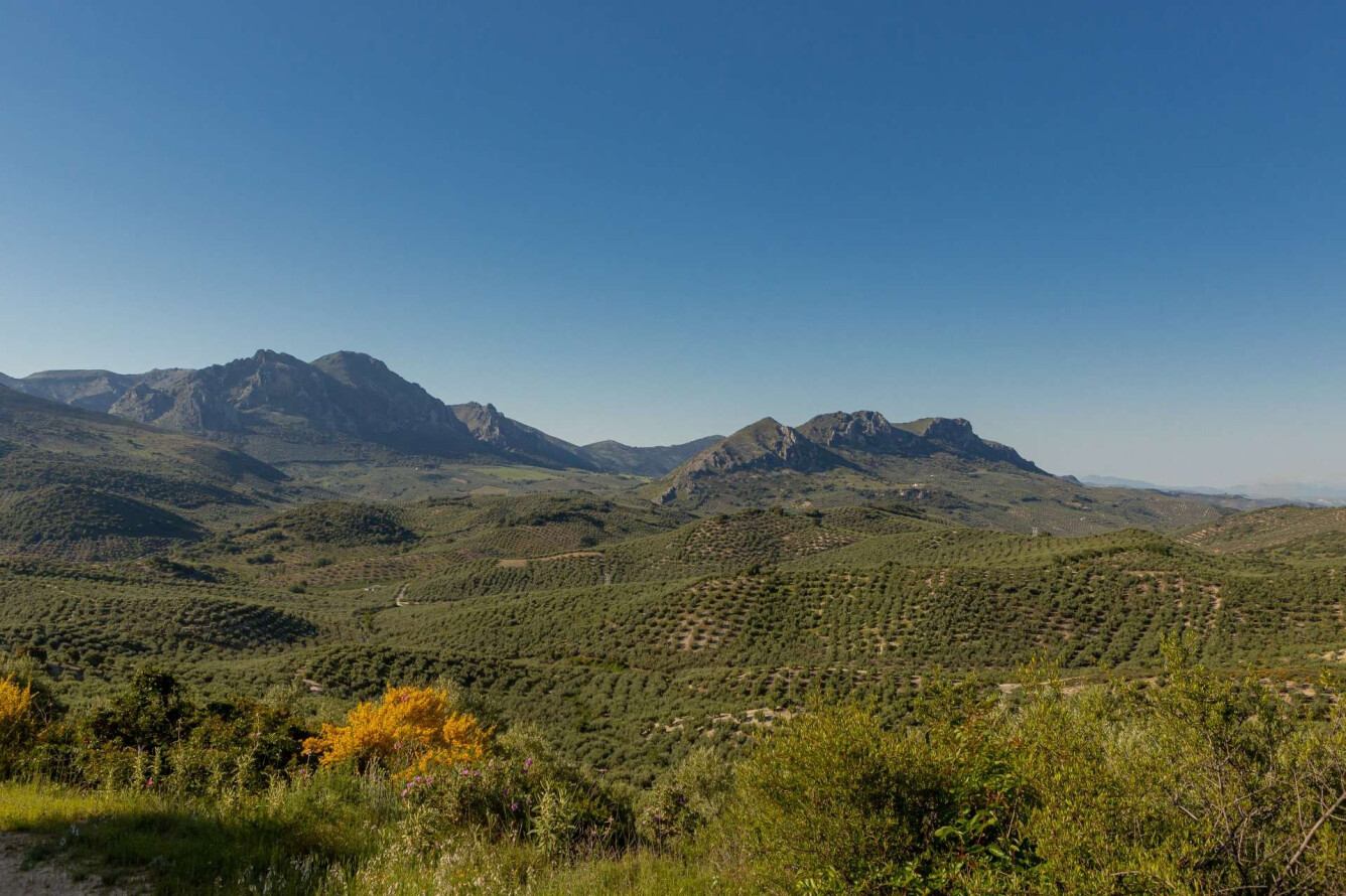 CAÑADA HORNILLOS