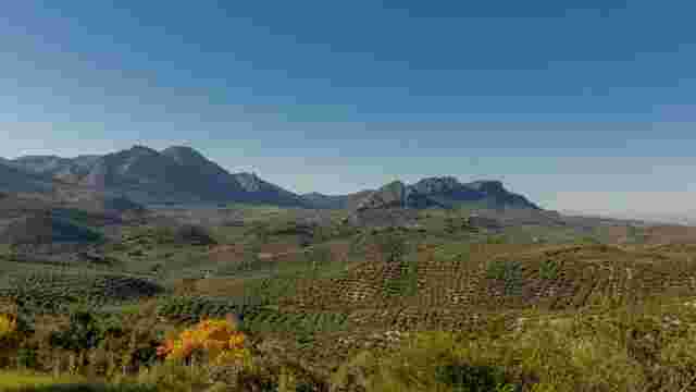 CAÑADA HORNILLOS