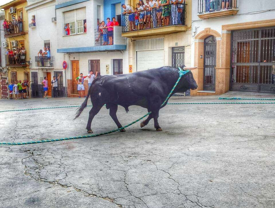ROUTENFÜHRUNG „TORO DE CUERDA“