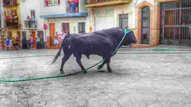 RUTA TORO DE CUERDA