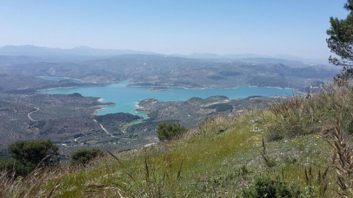 Wanderweg „Pinar de Rute“