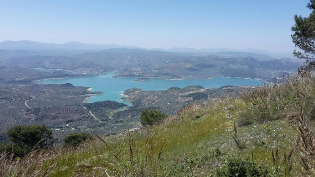 Sendero Pinar de Rute