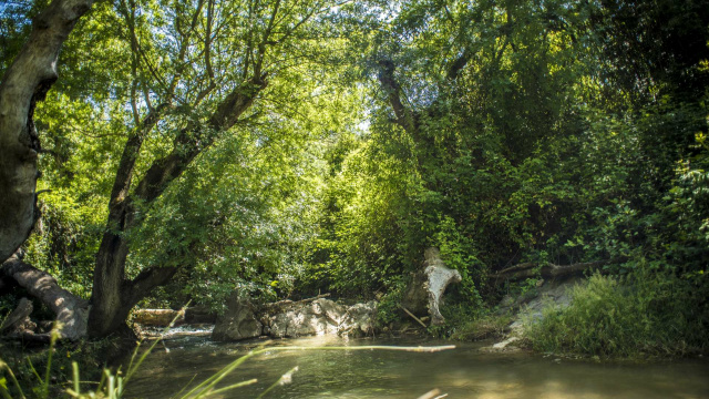 Sendero- Garganta Río de la Hoz