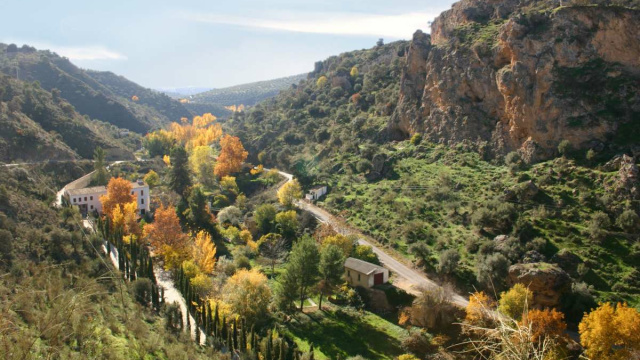 Sendero 