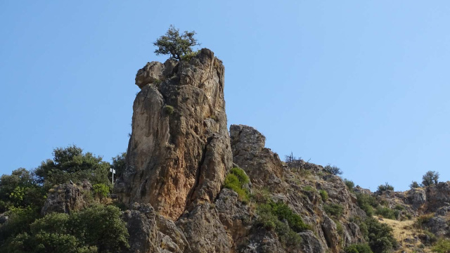 Sendero 