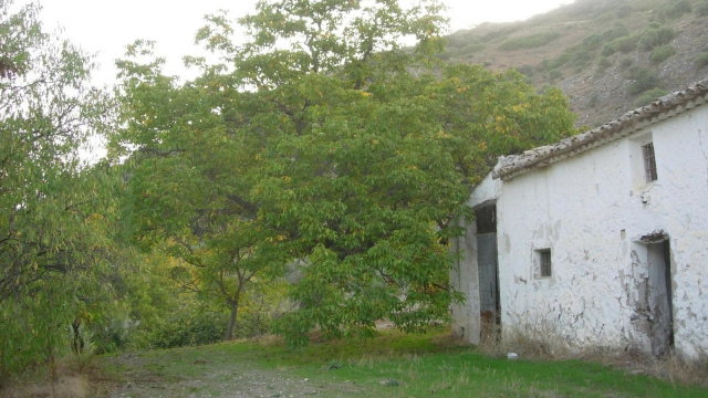 Camino Alborazor