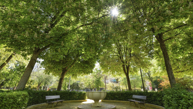 Paseo Alcántara Romero