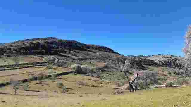 Monteprieto