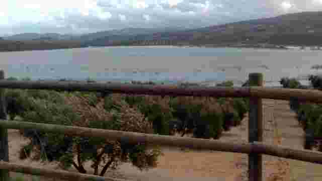 Laguna del Conde Footbridge