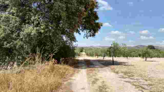 Camino del Término a Ermita de la Esperanza