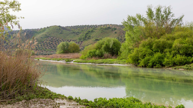 Naturaleza y entorno de Encinas Reales y el río Genil